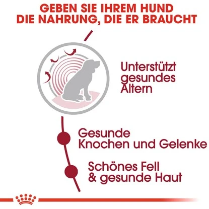 Royal Canin Medium Ageing 10+ Trockenfutter Ältere Große Hunde 3 Kg 6 Royal Canin Medium Ageing 10+ Trockenfutter Ältere Große Hunde 3 Kg – Bild 4