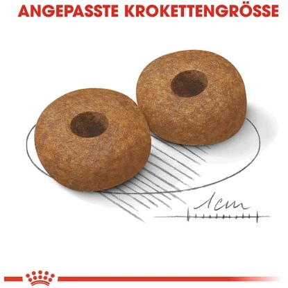 Royal Canin Medium Ageing 10+ Trockenfutter Ältere Große Hunde 3 Kg 7 Royal Canin Medium Ageing 10+ Trockenfutter Ältere Große Hunde 3 Kg – Bild 5