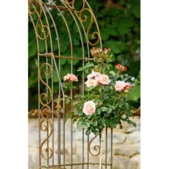 Eleo Rosenbogen Calabria 234 Cm X 160 Cm X 50 Cm Unbeschichtet 7 Eleo Rosenbogen Calabria 234 Cm X 160 Cm X 50 Cm Unbeschichtet -Doppler Verkäufe 2024 944792 4915 3