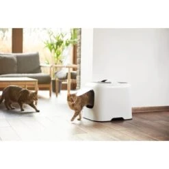 Rotho Katzentoilette Biala 44,3 X 39,5 X 51 Cm Mistletoe White -Doppler Verkäufe 2024 979537 1516 3
