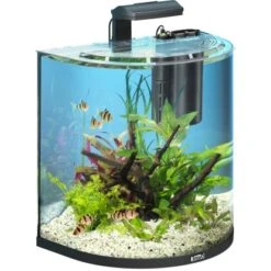 Tetra Aquarium-Set AquaArt II Explorer Line Tropical LED 60 L Anthrazit -Doppler Verkäufe 2024 aquariumkomplettset 60l 2