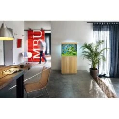 Juwel Aquarium-Kombination Lido LED SBX Helles Holz 200 L -Doppler Verkäufe 2024 dsbxhellesholzkombinatio 5