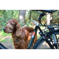 Fahrrad Hundeleine Walky Dog Plus -Doppler Verkäufe 2024 fahrradleinehundeleine 05