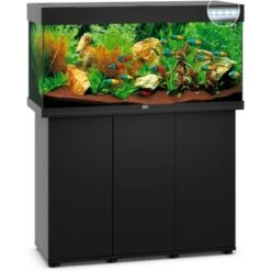 Juwel Aquarium-Kombination Rio LED SBX Schwarz 180 L -Doppler Verkäufe 2024 ledsbxschwarzkombination 2 4