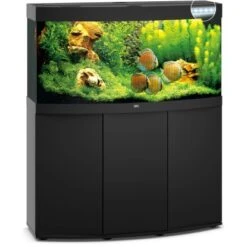 Juwel Aquarium-Kombination Vision LED SBX Schwarz 260 L 9 Juwel Aquarium-Kombination Vision LED SBX Schwarz 260 L -Doppler Verkäufe 2024 ledsbxschwarzkombination 2 7