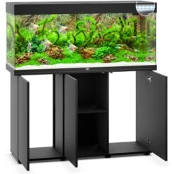 Juwel Aquarium-Kombination Rio LED SBX Schwarz 240 L -Doppler Verkäufe 2024 ledsbxschwarzkombination 3 1