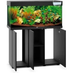 Juwel Aquarium-Kombination Rio LED SBX Schwarz 180 L -Doppler Verkäufe 2024 ledsbxschwarzkombination 3 4