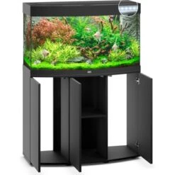 Juwel Aquarium-Kombination Vision LED SBX Schwarz 180 L 9 Juwel Aquarium-Kombination Vision LED SBX Schwarz 180 L -Doppler Verkäufe 2024 ledsbxschwarzkombination 3 5