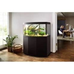 Juwel Aquarium-Kombination Vision LED SBX Schwarz 260 L 13 Juwel Aquarium-Kombination Vision LED SBX Schwarz 260 L -Doppler Verkäufe 2024 ledsbxschwarzkombination 6