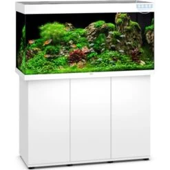 Juwel Aquarium-Kombination Rio Mit Unterschrank Weiß 350 L -Doppler Verkäufe 2024 o350ledsbxweikombination 2