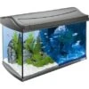 Tetra Aquarium-Set AquaArt Discovery Line LED 60 L Anthrazit 2 Tetra Aquarium-Set AquaArt Discovery Line LED 60 L Anthrazit -Doppler Verkäufe 2024 omplettset 60l anthrazit 1
