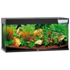 Juwel Aquarium-Set Rio LED Schwarz 180 L -Doppler Verkäufe 2024 rio180ledschwarzaquarium 2