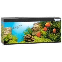 Juwel Aquarium-Set Rio LED Schwarz 450 L -Doppler Verkäufe 2024 rio450ledschwarzaquarium 2