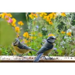 Streufutter 20 Kg Vogelfutter-Beutel -Doppler Verkäufe 2024 vogelfutterstreufutter 03