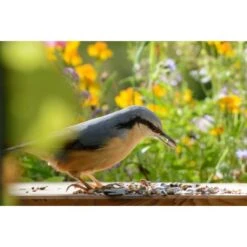 Streufutter 20 Kg Vogelfutter-Beutel -Doppler Verkäufe 2024 vogelfutterstreufutter 04