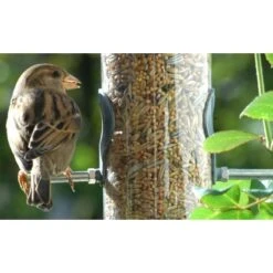 Streufutter 20 Kg Vogelfutter-Beutel -Doppler Verkäufe 2024 vogelfutterstreufutter 05