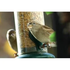 Streufutter 20 Kg Vogelfutter-Beutel -Doppler Verkäufe 2024 vogelfutterstreufutter 07