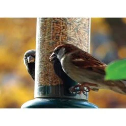 Streufutter 20 Kg Vogelfutter-Beutel -Doppler Verkäufe 2024 vogelfutterstreufutter 08