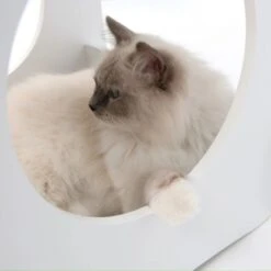 Vesper Condo 3-stöckiger Retro-Lounge-Turm Weiß 11 Vesper Condo 3-stöckiger Retro-Lounge-Turm Weiß -Doppler Verkäufe 2024 vp condo detail katze rgb